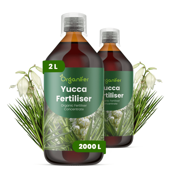 Zwei Flaschen Organifer Yucca-Dünger, organisches Konzentrat für 2000 Liter Dünger, Inhalt jeweils 2 Liter, mit Yucca-Pflanzen.