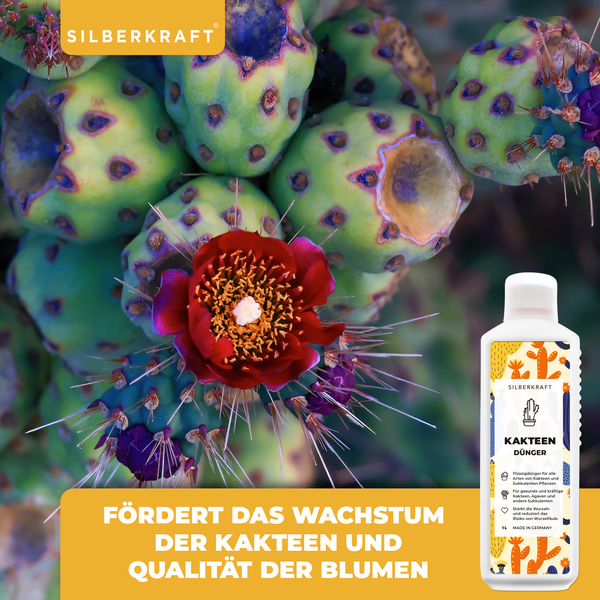 SILBERKRAFT Kakteen Bio-Dünger – 1 Liter