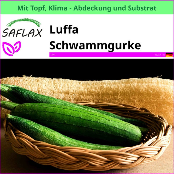 Luffa Schwammgurken Set in einem Korb
