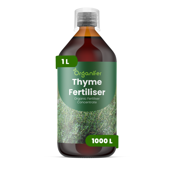 Organifer Thymian-Dünger, organisches Düngerkonzentrat, 1 Liter Flasche mit Messkappe.