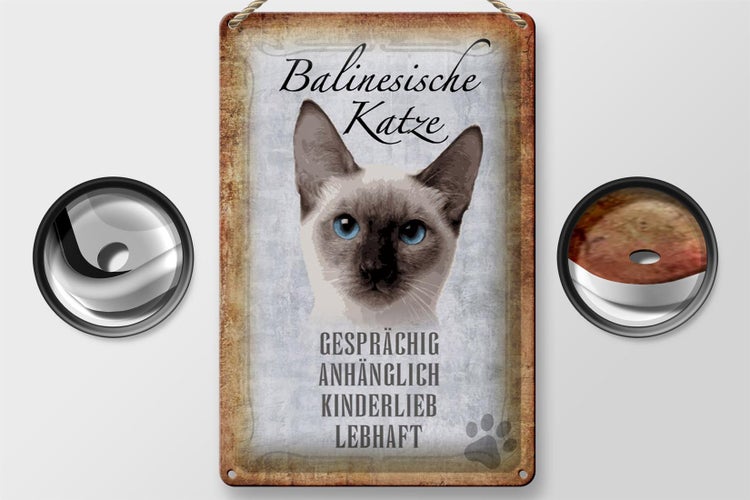 Blechschild Spruch 20x30cm balinesische Katze Schild