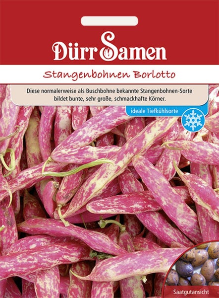 Dürr Samen Logo. Samentüte für Stangenbohnen Borlotto mit Abbildung von gefleckten Bohnenhülsen, Ansicht der Samen und Symbol für Gefriereignung.