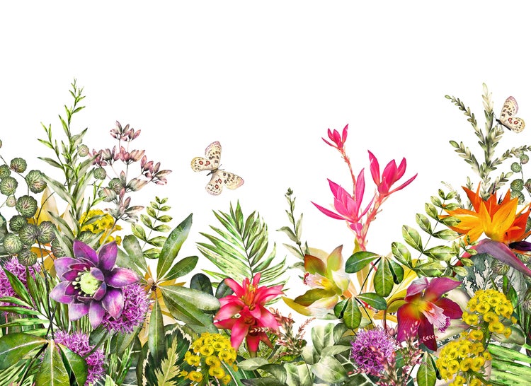 Botanische Illustration einer tropischen Flora mit exotischen Blumen, grünen Blättern und Schmetterlingen für Fototapeten.