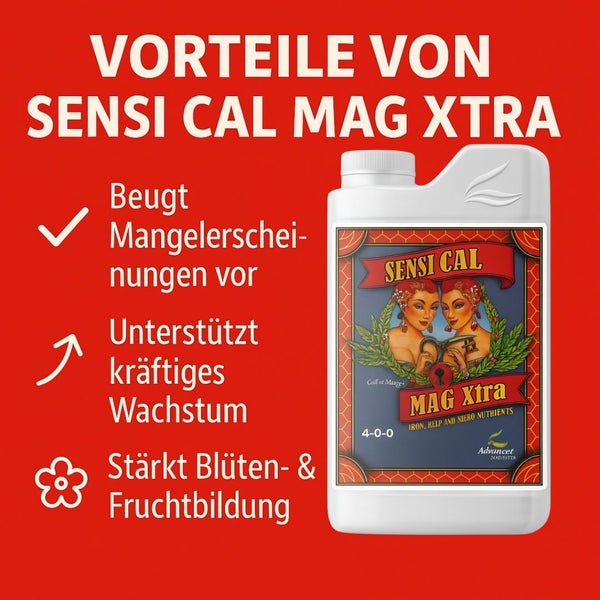 Sensi Cal Mag Xtra Flasche zur Vorbeugung von Mangelerscheinungen, Unterstützung kräftigen Wachstums und Stärkung der Blüten- und Fruchtbildung