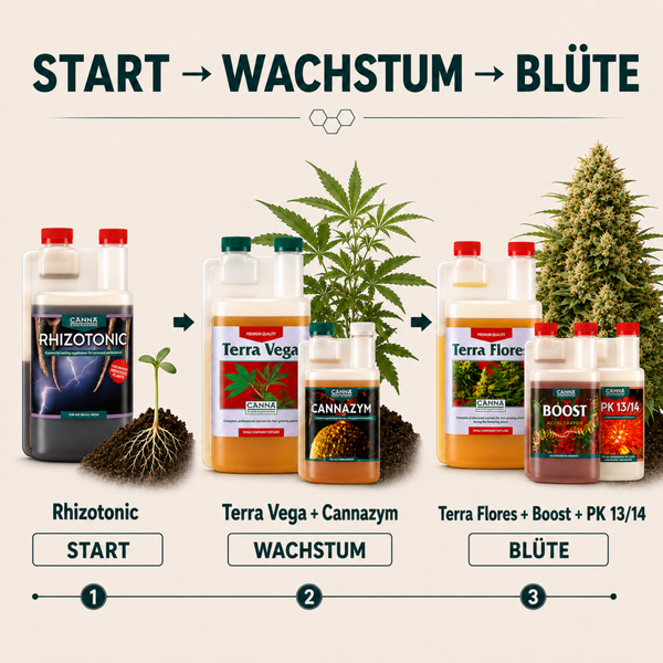 CANNA Pflanzendünger Anwendungsschema für Start, Wachstum und Blütephase von Pflanzen.