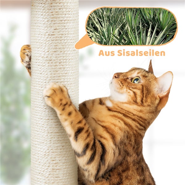 Katze kratzt an einem Kratzbaum aus Sisalseil
