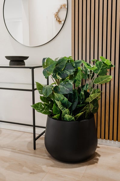 Modernes Zimmer mit Monstera-Pflanze in schwarzem Topf, Akustikpaneel in Holzoptik, schwarzem Konsolentisch und rundem Wandspiegel.