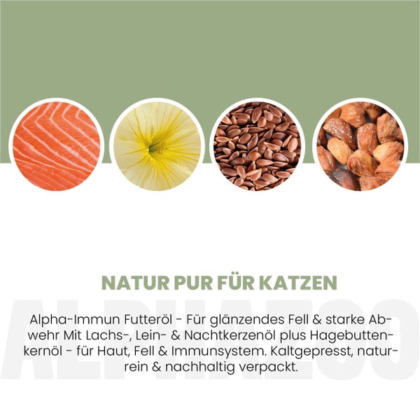 Katzenfutteröl mit Lachs, Leinöl, Nachtkerzenöl und Hagebuttenkernöl