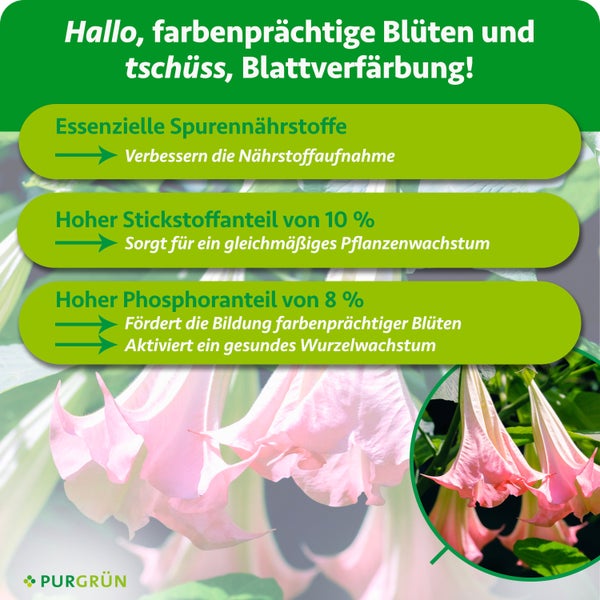 Purgrün Logo. Infografik für Dünger mit Spurennährstoffen, 10 Prozent Stickstoff für Wachstum und 8 Prozent Phosphor für Blüten und Wurzeln.