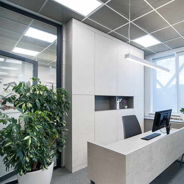 Büroraum mit Empfangstresen, Büropflanze und Büromöbeln