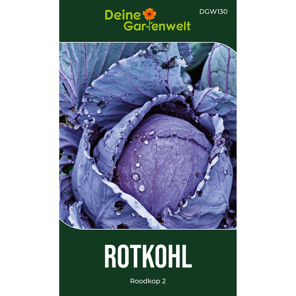Samentüte für Rotkohl Roodkop 2, Gemüsesamen von Deine Gartenwelt.