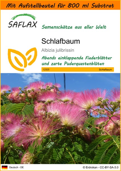 SAFLAX Garden in the bag - Schlafbaum - Albizia julibrissin - 50 Samen - Mit Anzuchtsubstrat im praktischen, selbst aufstellenden Beutel