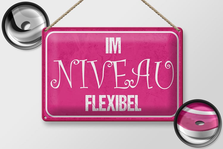 Blechschild Spruch 30x20cm Im NIVEAU flexibel