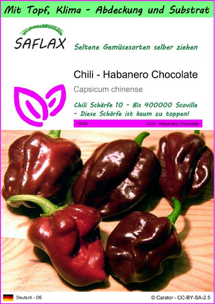 SAFLAX Garden to go - Chili - Habanero Chocolate - Capsicum chinense - 10 Samen - Mit Topf, Klima - Deckel und Anzuchtsubstrat