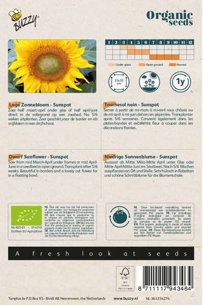 Buzzy Organic Seeds Packung mit Informationen zum Anbau von niedrigen Sonnenblumen