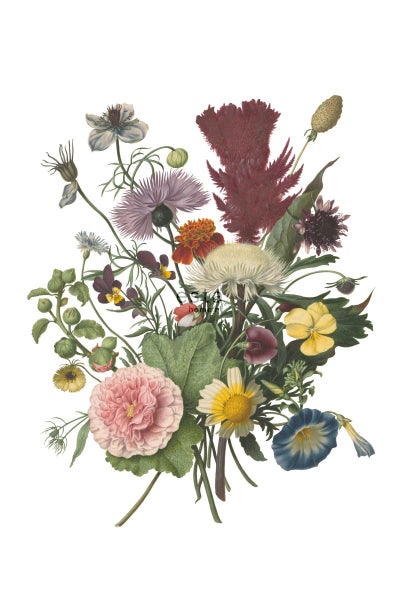 ESTAhome Fototapete Blumenstrauß Grün, Rosa, Gelb und Lila - 1,86 x 2,79 m - 158911