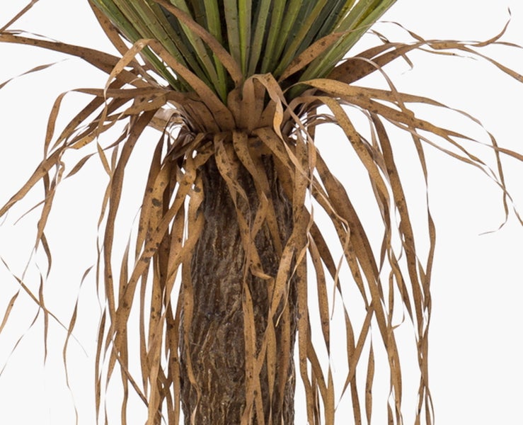 Nahaufnahme eines texturierten künstlichen Baumstamms in einem verwitterten Kunststofftopf mit dekorativem Moos.