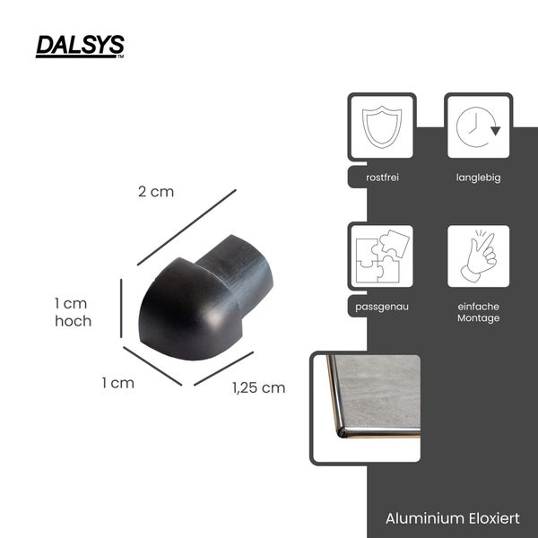 DALSYS Logo, Endkappe aus eloxiertem Aluminium, Maße 2 mal 1 Zentimeter, rostfrei, langlebig, passgenau und einfache Montage.