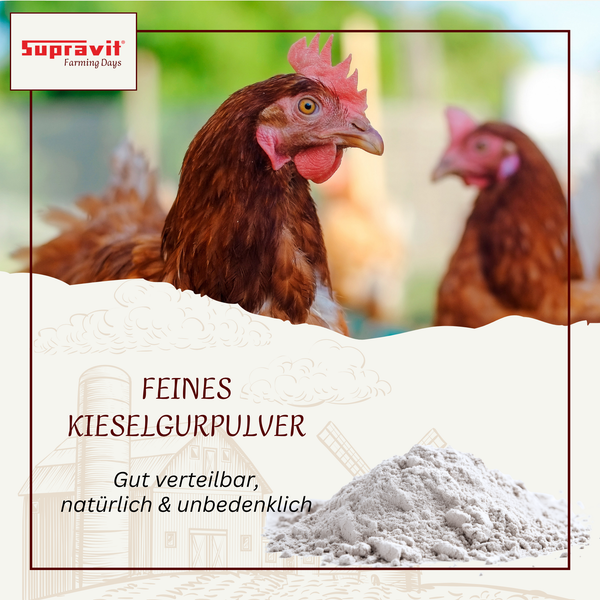 Supravit Logo, feines Kieselgurpulver für Geflügel, natürliches und unbedenkliches Pulver mit Hühnern und einem Kieselgurhaufen.
