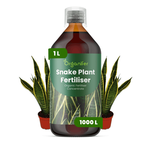 Organifer Sansevieria-Dünger, 1 Liter organisches Konzentrat für Bogenhanf, reicht für 1000 Liter.