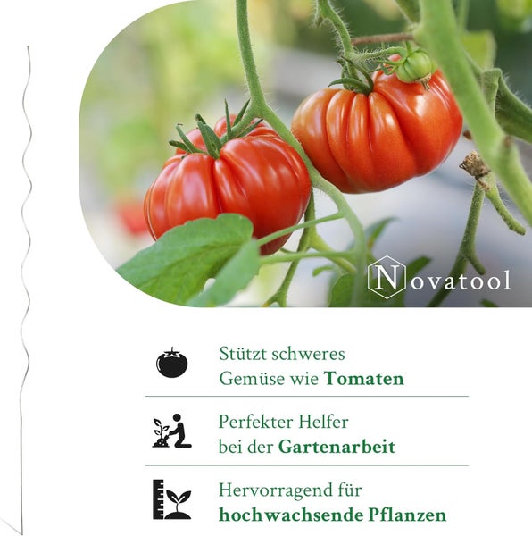 Spiralförmiger Tomatenstab zur Unterstützung von schwerem Gemüse und hochwachsenden Pflanzen. Novatool Logo.