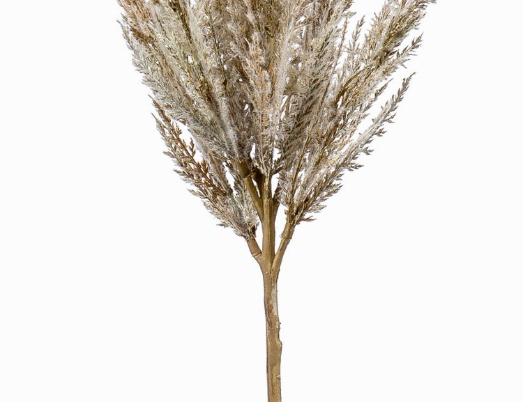 Nahaufnahme der texturierten Oberfläche einer Orangenschale.