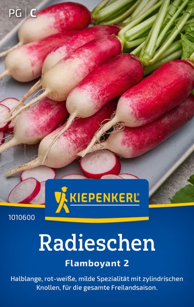 Kiepenkerl Radieschen Flamboyant 2 Saatgut für halblange rot-weiße zylindrische Radieschen für die Freilandsaison