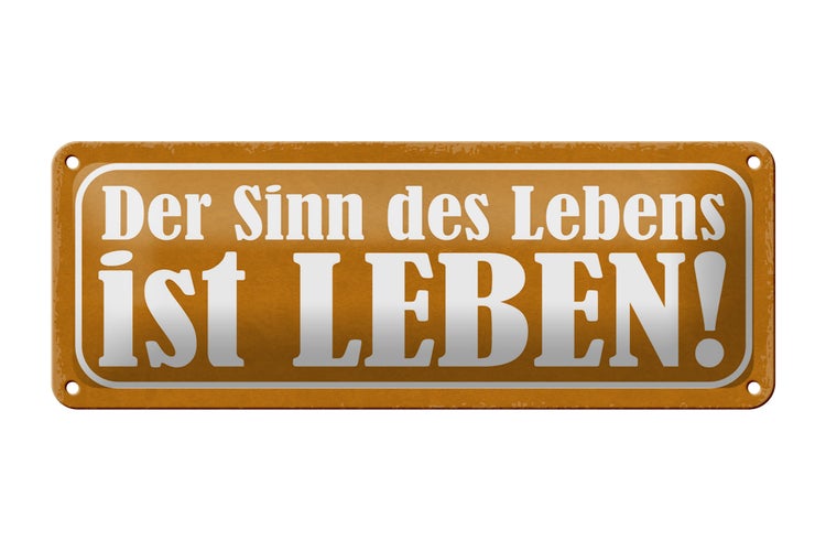 Blechschild Spruch 27x10cm der Sinn des Lebens ist Leben Dekoration