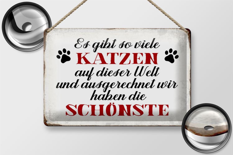 Blechschild Spruch 30x20cm wir haben die schönste Katze