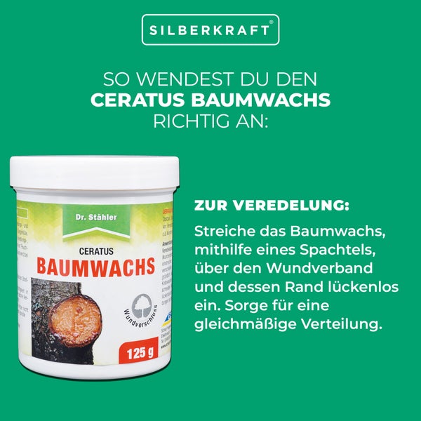 Ceratus Baumwachs – Veredelungs- & Wundverschlussmittel für Obst- & Ziergehölze – Schutz vor Feuchtigkeit & Austrocknung – Ganzjährig anwendbar