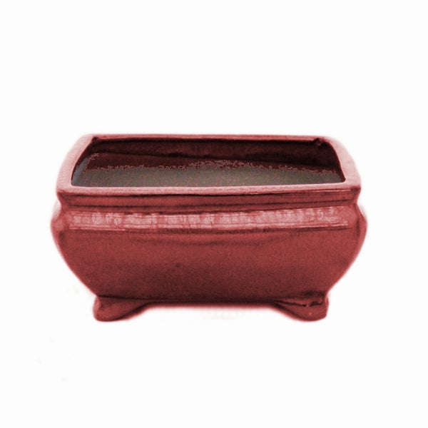 Bonsai-Schale mit Unterteller Gr. 2 - Rot - rechteckig - Modell G81 - L 14,5cm - B 11,3cm - H 6,6cm
