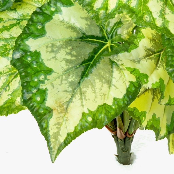 Künstliche Pflanze Ficus Benjamina mit panaschierten Blättern und naturgetreuen Stämmen.