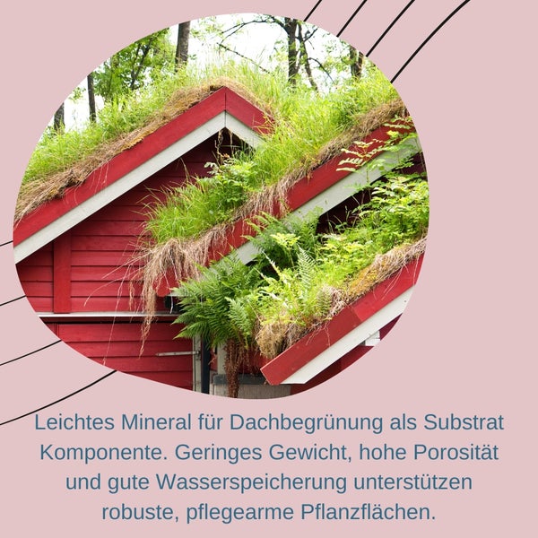 Haus mit Gründach, bewachsen mit Gras und Pflanzen