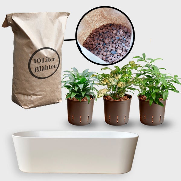 Blähton-Packung, Zimmerpflanzen in Töpfen und Pflanzgefäß