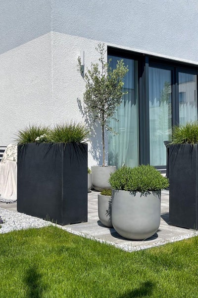 Moderne Terrasse mit schwarzen rechteckigen Pflanzkübeln und runden grauen Blumentöpfen mit Ziergräsern und einem Olivenbaum.