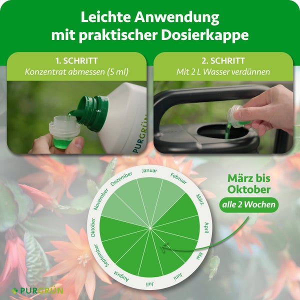 Anwendung mit Dosierkappe: 5 Milliliter abmessen, mit 2 Liter Wasser verdünnen. Von März bis Oktober alle zwei Wochen anwenden. Purgrün Logo.