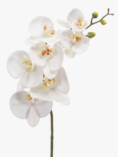 Künstliche Orchidee Phalaenopsis mit weißen Blüten und gelbem Zentrum.