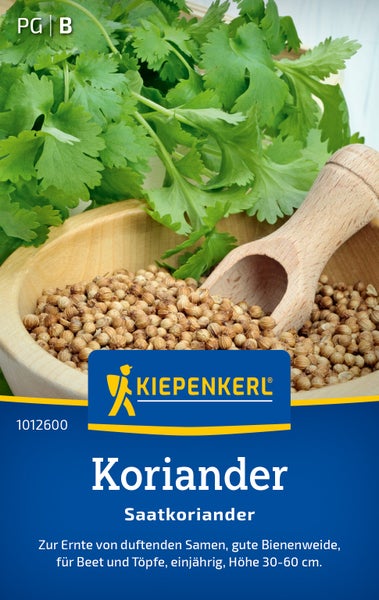 Kiepenkerl Saatgut Koriander in Holzschale mit frischen Korianderblättern und Koriandersamen.