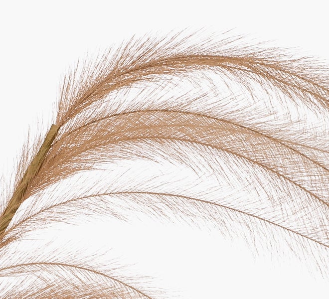Künstliches Pampasgras in Braun mit federartigen Wedeln.