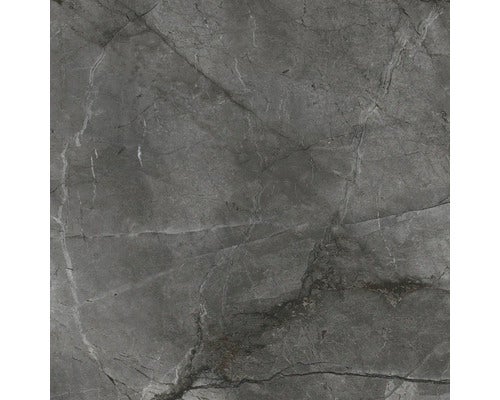 Wand und Bodenfliese Root Silver 100x100cm, rektifiziert