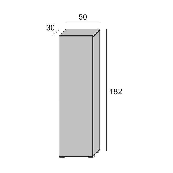 Abbildung eines Schranks mit den Maßen 30 x 50 x 182 cm.
