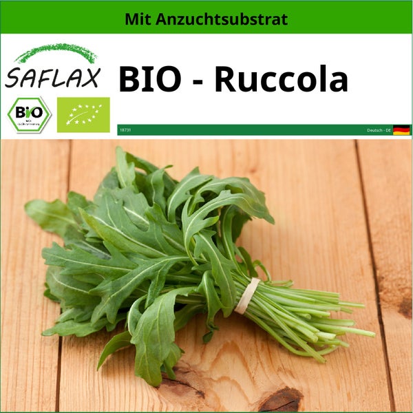 SAFLAX  - BIO - Ruccola - Eruca sativa - 3000 Samen - Mit keimfreiem Anzuchtsubstrat