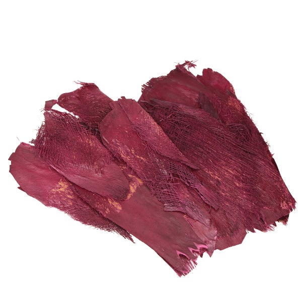 Kokosrinde gefärbt, Naturmaterial für Floristik und Dekoration.