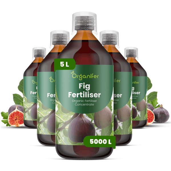 Fünf Flaschen Organifer Feigendünger, organisches Konzentrat, 5 Liter für 5000 Liter Düngerlösung.