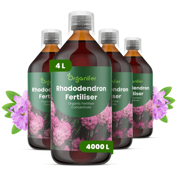 Vier Flaschen Organifer Rhododendrondünger, organisches Flüssigdünger-Konzentrat, vier Liter für viertausend Liter Gießwasser.