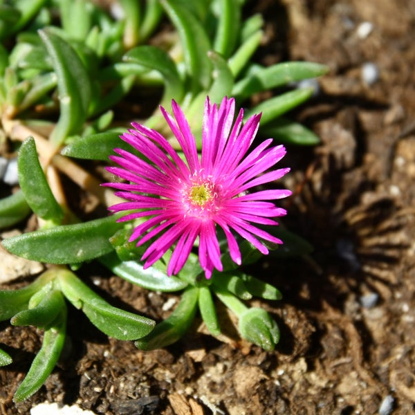 Stapel wasserdichter Big Dean Planen mit den Siegeln: extra reißfest, SGS-geprüfte UV-Beständigkeit, 100 Prozent wasserdicht sowie frost- und hitzebeständig