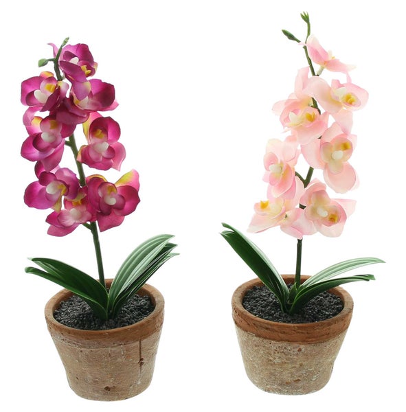 FRANK FLECHTWAREN | Orchidee im Topf, 2er Set, KUNSTSTOFF, BETON, 8,5 x 8,5 x 25 cm
