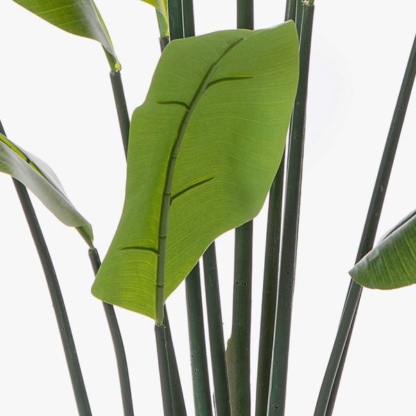 Nahaufnahme einer künstlichen Strelitzia Pflanze mit grünen Blättern und langen Stielen.
