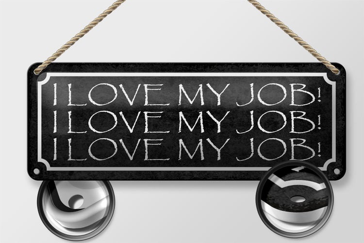 Blechschild Spruch 27x10cm i love my Job liebe meine Arbeit Dekoration