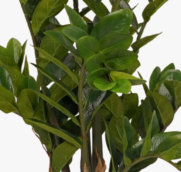 Künstlicher Kiefernzweig mit langen grünen Nadeln zur Dekoration